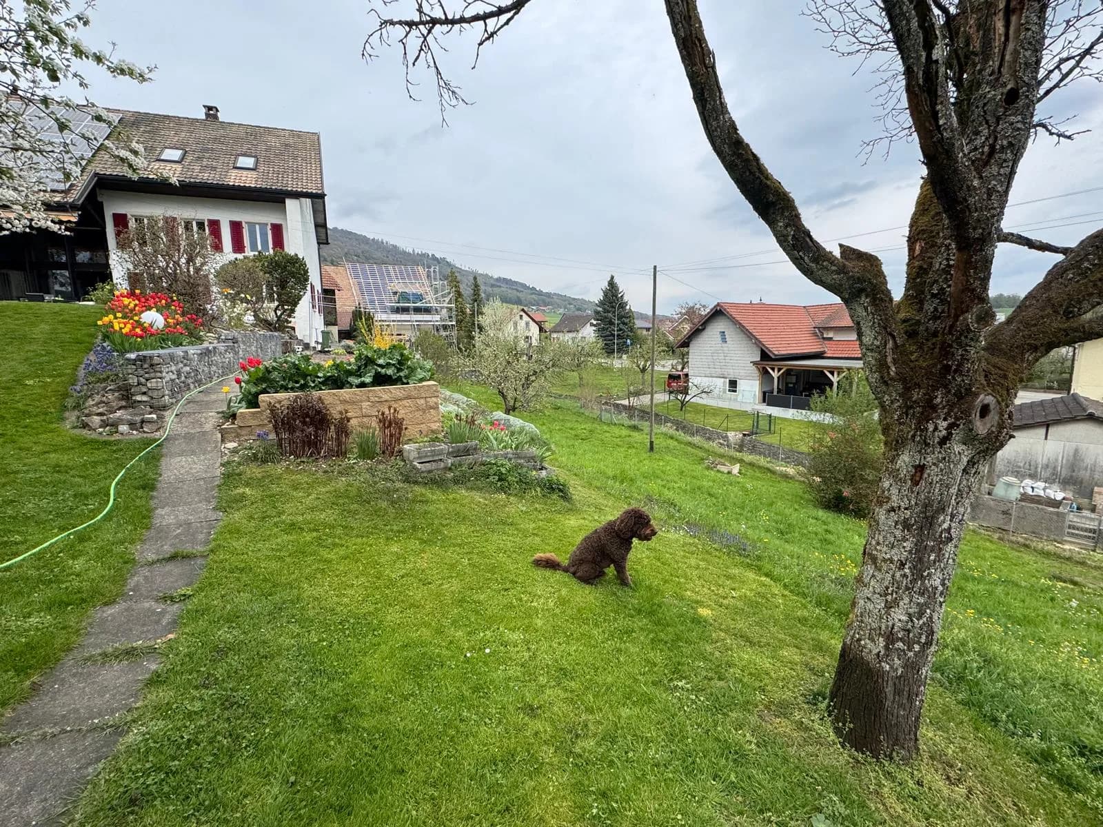 Planung und Neubau eines Einfamilienhauses in Stüsslingen SO – 89m2 Group Projektbild 1