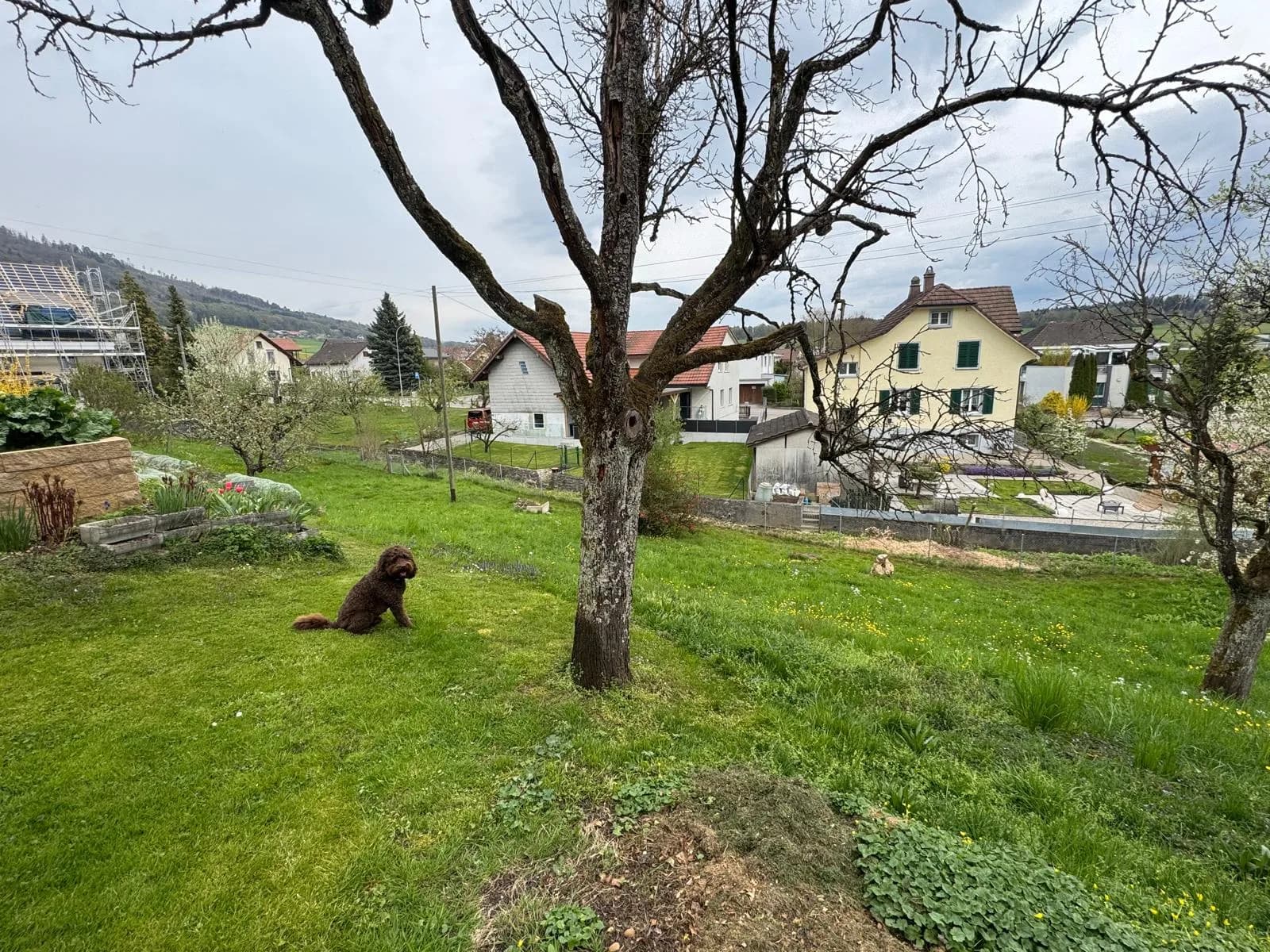 Planung und Neubau eines Einfamilienhauses in Stüsslingen SO – 89m2 Group Projektbild 2